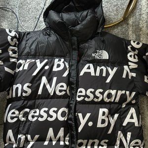 Supreme the north face puffer